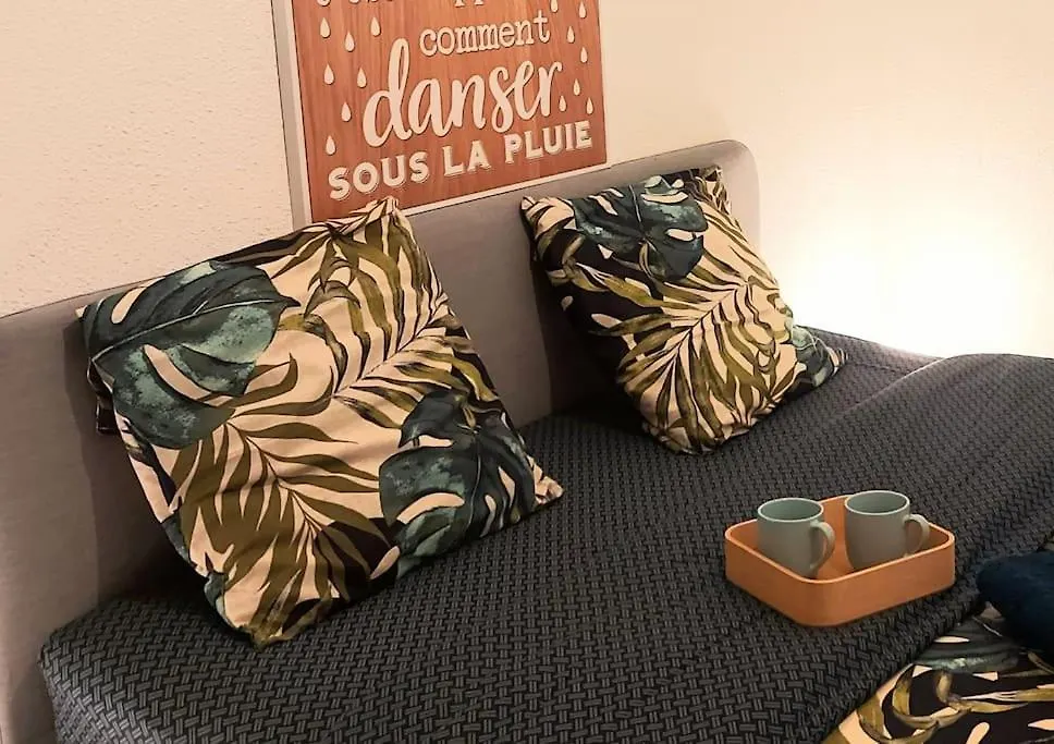Zenith - Cartoucherie - Purpan Apartment Toulouse