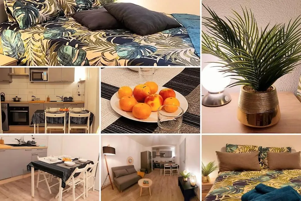 Zenith - Cartoucherie - Purpan Apartment Toulouse France